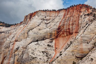 Demir ve mineraller yağış ile birleşerek Utah, Zion Ulusal Parkı 'ndaki Ağlayan Kaya' nın beyaz kumtaşı uçurumlarında kırmızı izler oluşturur..