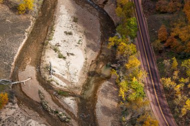 Zion Canyon Yolu 'nun yanında akan temiz suyla birlikte Zion Nehri' nin ikiye bölünmüş bir bölümü Zion Ulusal Parkı, Utah 'ta güneş ışığı ve düşen ağaçlarla doludur..