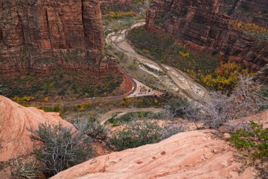 Sonbaharda Utah 'taki Zion Ulusal Parkı' nda İzci Birliği 'nden Büyük Viraj Noktası otoparkına bakıyor..