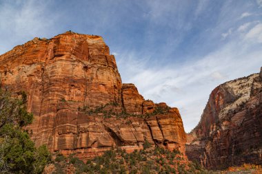 Zion Canyon at the base of Angel's Landing in the fall with changing trees and sunshine at Zion National Park, Utah.
