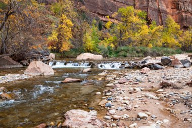 A small waterfall in the Virgin River with autumn trees and steep cliffs in the background at Zion National Park, Utah.