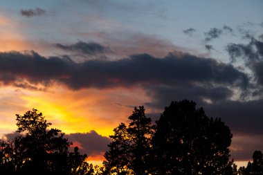 Fırtına bulutları, Amerika 'nın güneybatısındaki siluetli yemyeşil ağaçların üstündeki günbatımının renklerini yansıtıyor..