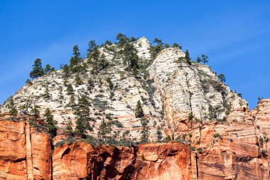 Antik çökelti inanılmaz derecede yüksek kaya duvarlarına aşınmıştı. Bu duvarlar büyük yeşilliklerle kaplıydı ve Utah 'taki Zion Ulusal Parkı' nda karşıt mavi bir gökyüzüyle destekleniyordu..