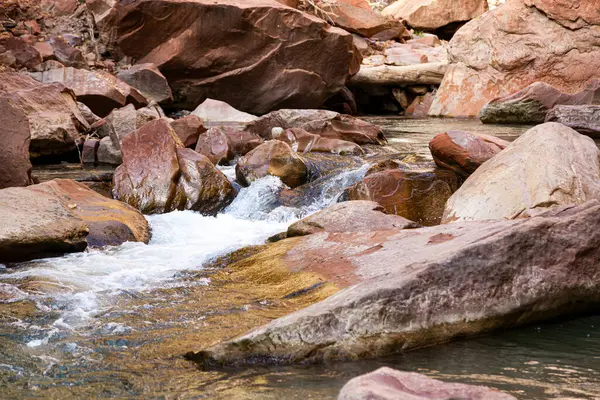 Utah Zion Ulusal Parkı Nda Güneşli Bir Sonbahar Gününde Narrows - Stok İmaj