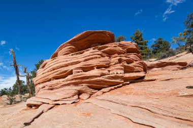 Utah, Zion Ulusal Parkı 'ndaki Kolob Terası' nın manzarasını süsleyen antik tortu kayaları zaman ve hava tarafından aşınarak eşsiz heykeller haline getirildi..