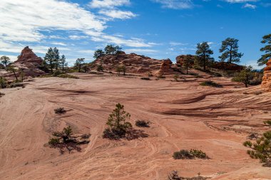 Utah, Zion Ulusal Parkı 'ndaki Kolob Terası' nın manzarasını süsleyen antik tortu kayaları zaman ve hava tarafından aşınarak eşsiz heykeller haline getirildi..