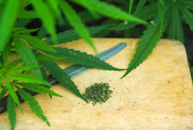 Kenevir Yığını Kesme tahtası ve Bıçaklı Ortak.