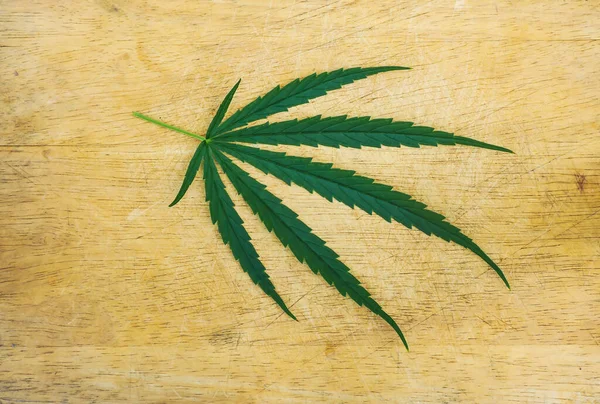 Cannabis Leaf Board — Stock Photo, Image