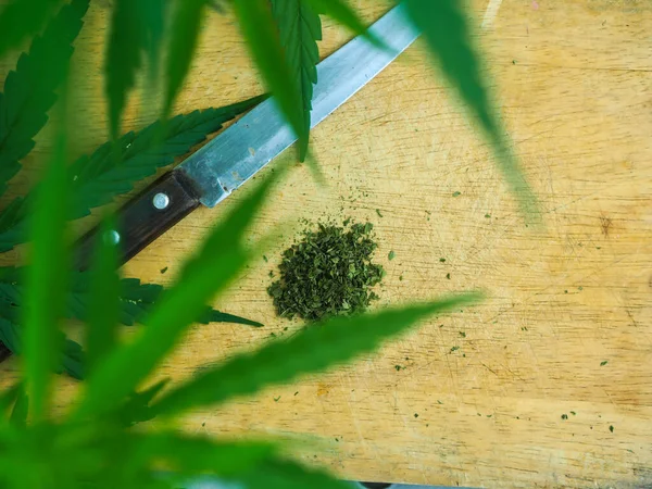 Pilha Junção Cannabis Com Placa Corte Faca — Fotografia de Stock