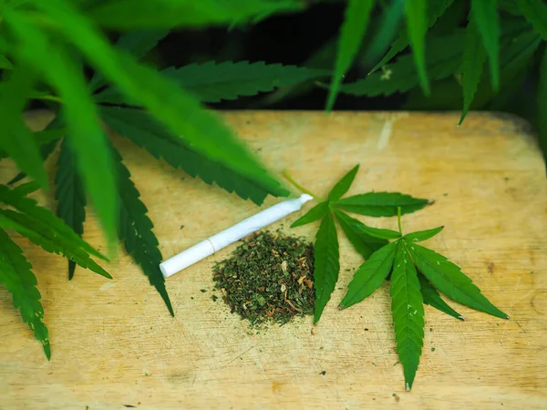 Montón Junta Cannabis Con Tabla Cortar Cuchillo —  Fotos de Stock