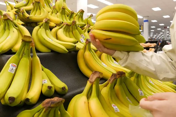 Mujer Seleccionando Plátano Dentro Una Tienda Walmart Imagen De Stock