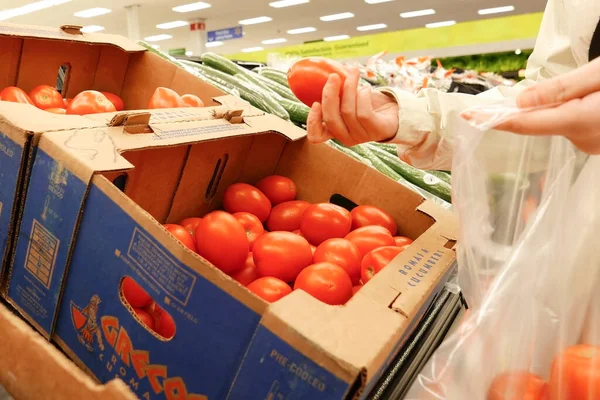 Frau Wählt Roma Tomaten Einem Walmart Geschäft Aus lizenzfreie Stockbilder