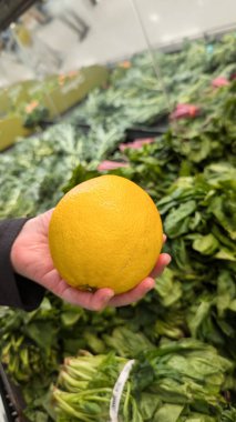 Arka planda olgun sebze yığınıyla portakalı tutan bir elin yakın çekimi. seçici odak.