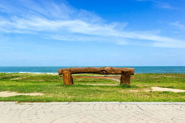 Lavička Pláži Modrou Oblohou Zelenou Trávou Tropický Výhled — Stock fotografie