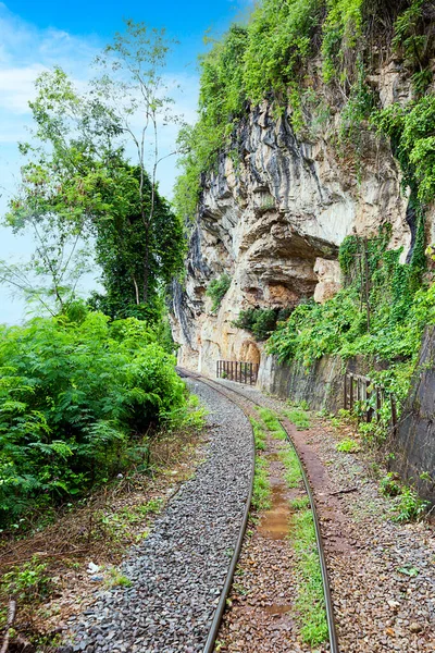 Kolej Śmierci Lesie Kanchanaburi Tajlandia — Zdjęcie stockowe