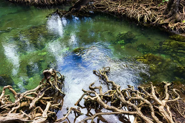 River in Natural travel place Thapom Klong Song Nam, Krabi, Tayland