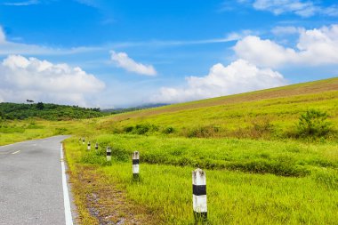 Klong Haeng Barajı Krabi, Tayland 'da mavi gökyüzü olan yeşil çimenler.