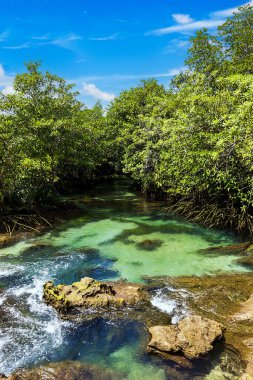 Doğal yolculuktaki nehir Thapom Klong Song Nam, Krabi, Tayland mavi gökyüzü