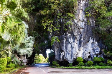 Phang-nga Tayland 'daki Phung Chang mağarası