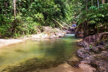Nam Tok Song Phraek, Tonpariwat Şelalesi Phang nga Tayland 'da doğal turizm