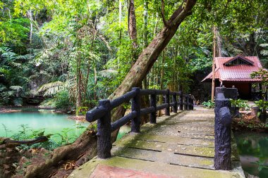 Bok Khorani Milli Parkı, Ao Luk, Krabi, Tayland