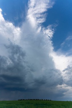 Summer Storms in the Canadian Prairies Dramatic Scenes