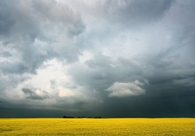 Summer Storms in the Canadian Prairies Dramatic Scenes