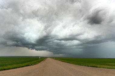 Summer Storms in the Canadian Prairies Dramatic Scenes