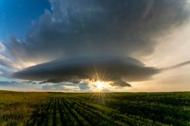 Summer Storms in the Canadian Prairies Dramatic Scenes