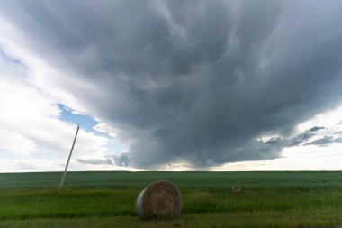 Summer Storms in the Canadian Prairies Dramatic Scenes