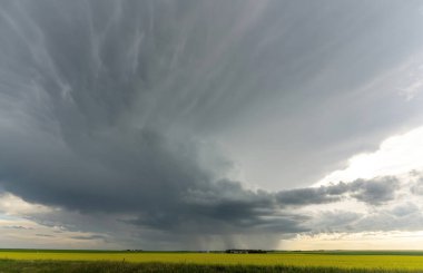 Summer Storms in the Canadian Prairies Dramatic Scenes
