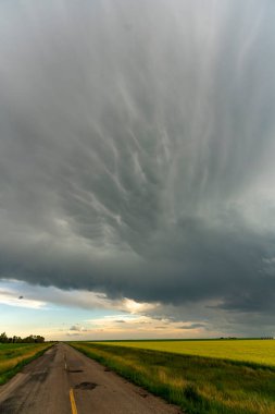 Summer Storms in the Canadian Prairies Dramatic Scenes
