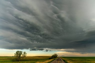 Summer Storms in the Canadian Prairies Dramatic Scenes