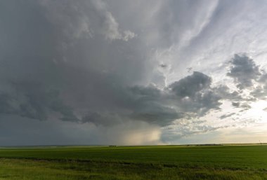 Summer Storms in the Canadian Prairies Dramatic Scenes