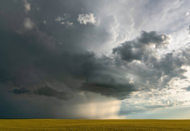 Summer Storms in the Canadian Prairies Dramatic Scenes