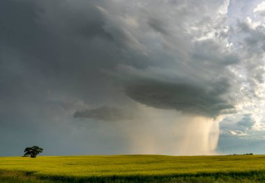 Summer Storms in the Canadian Prairies Dramatic Scenes