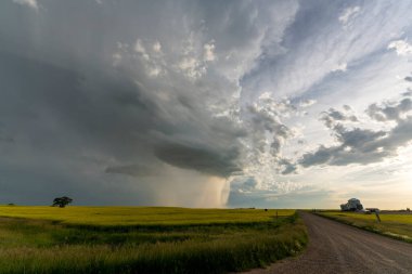 Summer Storms in the Canadian Prairies Dramatic Scenes