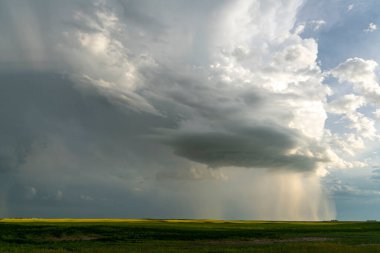 Summer Storms in the Canadian Prairies Dramatic Scenes