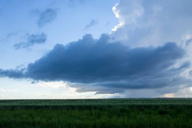 Summer Storms in the Canadian Prairies Dramatic Scenes