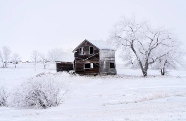 Prairie Winter Scenes rural Saskatchewan Canada Frost