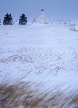 Prairie Winter Scenes rural Saskatchewan Canada Frost