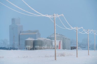 Prairie Winter Scenes rural Saskatchewan Canada Frost