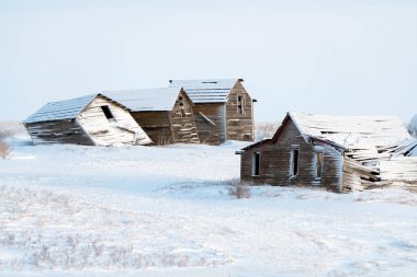 Prairie Winter Scenes rural Saskatchewan Canada Frost