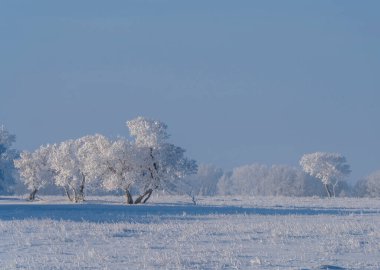 Prairie Winter Scenes rural Saskatchewan Canada Frost