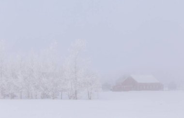 Prairie Winter Scenes rural Saskatchewan Canada Frost