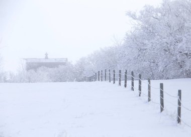Prairie Winter Scenes rural Saskatchewan Canada Fence Line