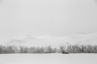 Prairie Winter Scenes rural Saskatchewan Canada Frost