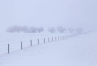 Prairie Winter Scenes rural Saskatchewan Canada Fence Line