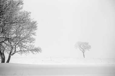 Prairie Winter Scenes rural Saskatchewan Canada Frost