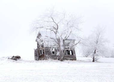 Prairie Winter Scenes rural Saskatchewan Canada Frost